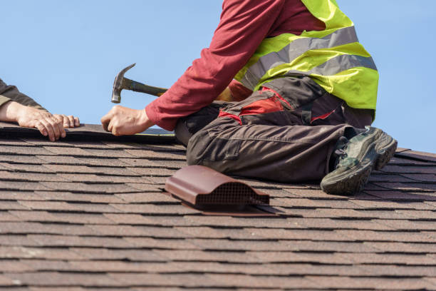 Best Roof Leak Repair  in Verona, KY