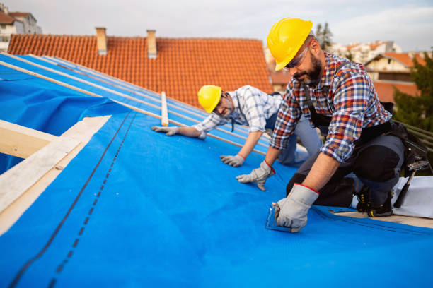 Best Storm Damage Roof Repair  in Verona, KY